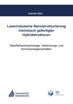 Laserinduzierte Nanostrukturierung intrinsisch gefertigter Hybridstrukturen von Zinn,  Carolin