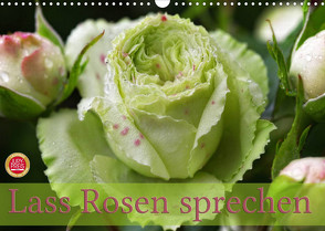 Lass Rosen sprechen (Wandkalender 2022 DIN A3 quer) von Cross,  Martina