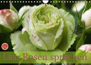 Lass Rosen sprechen (Wandkalender 2022 DIN A4 quer) von Cross,  Martina