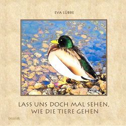 Lass uns doch mal sehen, wie die Tiere gehen – Ein farbiges Bilderbuch für Kinder von DeBehr,  Verlag, Lübbe,  Eva