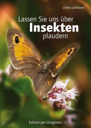 Lassen Sie uns über Insekten plaudern von Lohmann,  Ulrike