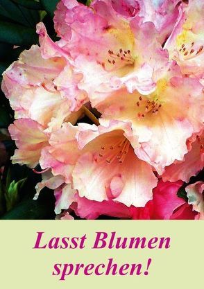 Lasst Blumen sprechen! (Posterbuch DIN A2 hoch) von Art-Motiva,  k.A.