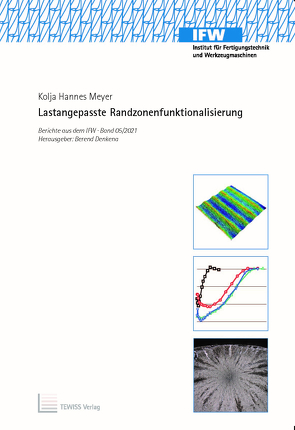 Lastangepasste Randzonenfunktionalisierung von Meyer,  Kolja Hannes