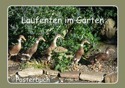 Laufenten im Garten (Posterbuch DIN A2 quer) von LoRo-Artwork,  k.A.