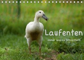 Laufenten immer was zu Schnattern (Tischkalender 2019 DIN A5 quer) von Münzel-Hashish - www.tierphotografie.com,  Angela