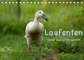 Laufenten immer was zu Schnattern (Tischkalender 2022 DIN A5 quer) von Münzel-Hashish - www.tierphotografie.com,  Angela