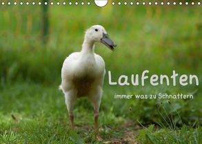 Laufenten immer was zu Schnattern (Wandkalender 2019 DIN A4 quer) von Münzel-Hashish - www.tierphotografie.com,  Angela