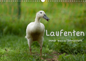 Laufenten immer was zu Schnattern (Wandkalender 2022 DIN A3 quer) von Münzel-Hashish - www.tierphotografie.com,  Angela