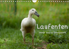 Laufenten immer was zu Schnattern (Wandkalender 2022 DIN A4 quer) von Münzel-Hashish - www.tierphotografie.com,  Angela