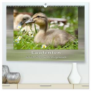 Laufenten – tierisch liebenswerte Zeitgenossen (hochwertiger Premium Wandkalender 2024 DIN A2 quer), Kunstdruck in Hochglanz von Storm,  Wiebke