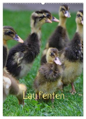 Laufenten (Wandkalender 2024 DIN A2 hoch), CALVENDO Monatskalender von LoRo-Artwork,  LoRo-Artwork