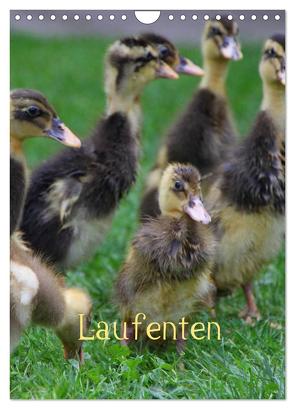 Laufenten (Wandkalender 2024 DIN A4 hoch), CALVENDO Monatskalender von LoRo-Artwork,  LoRo-Artwork