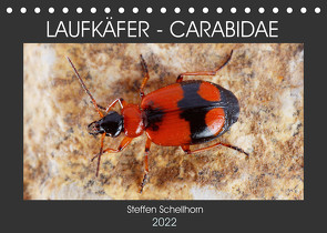 LAUFKÄFER – CARABIDAE (Tischkalender 2022 DIN A5 quer) von Schellhorn,  Steffen