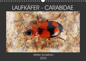 LAUFKÄFER – CARABIDAE (Wandkalender 2022 DIN A3 quer) von Schellhorn,  Steffen