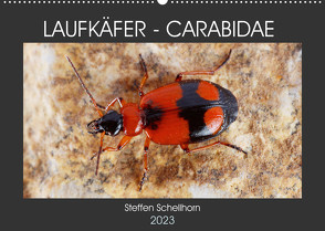 LAUFKÄFER – CARABIDAE (Wandkalender 2023 DIN A2 quer) von Schellhorn,  Steffen