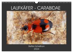 LAUFKÄFER – CARABIDAE (Wandkalender 2024 DIN A3 quer), CALVENDO Monatskalender von Schellhorn,  Steffen