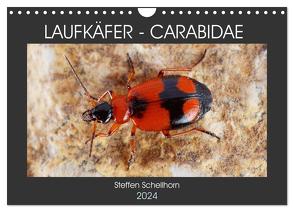 LAUFKÄFER – CARABIDAE (Wandkalender 2024 DIN A4 quer), CALVENDO Monatskalender von Schellhorn,  Steffen