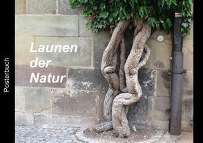 Launen der Natur (Posterbuch DIN A2 quer) von Keller,  Angelika