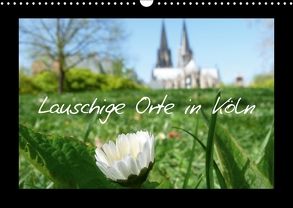 Lauschige Orte in Köln (Wandkalender 2018 DIN A3 quer) von Olschner,  Sabine