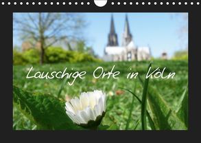 Lauschige Orte in Köln (Wandkalender 2019 DIN A4 quer) von Olschner,  Sabine