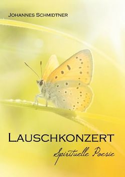 Lauschkonzert von Schmidtner,  Johannes