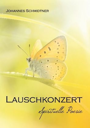 Lauschkonzert von Schmidtner,  Johannes