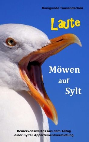 Laute Möwen auf Sylt von Tausendschön,  Kunigunde