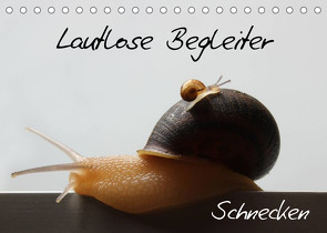 Lautlose Begleiter – Schnecken (Tischkalender 2022 DIN A5 quer) von Geiling,  Wibke