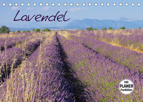 Lavendel (Tischkalender 2022 DIN A5 quer) von LianeM