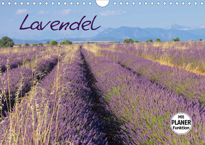 Lavendel (Wandkalender 2021 DIN A4 quer) von LianeM