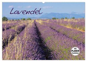 Lavendel (Wandkalender 2024 DIN A2 quer), CALVENDO Monatskalender von LianeM,  LianeM