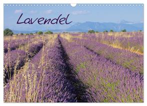 Lavendel (Wandkalender 2024 DIN A3 quer), CALVENDO Monatskalender von LianeM,  LianeM