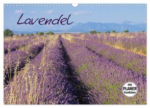 Lavendel (Wandkalender 2024 DIN A3 quer), CALVENDO Monatskalender von LianeM,  LianeM