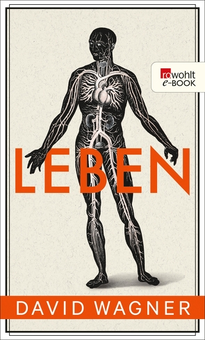 Leben von Wagner,  David