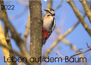 Leben auf dem Baum (Wandkalender 2022 DIN A2 quer) von Andreas Lederle,  Kevin