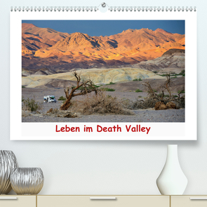 Leben im Death Valley (Premium, hochwertiger DIN A2 Wandkalender 2020, Kunstdruck in Hochglanz) von Wilczek,  Dieter-M.