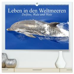 Leben in den Weltmeeren. Delfine, Wale und Haie (hochwertiger Premium Wandkalender 2024 DIN A2 quer), Kunstdruck in Hochglanz von Stanzer,  Elisabeth