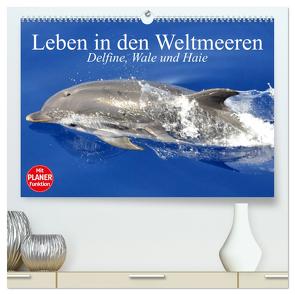 Leben in den Weltmeeren. Delfine, Wale und Haie (hochwertiger Premium Wandkalender 2024 DIN A2 quer), Kunstdruck in Hochglanz von Stanzer,  Elisabeth