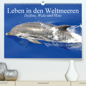 Leben in den Weltmeeren. Delfine, Wale und Haie (Premium, hochwertiger DIN A2 Wandkalender 2021, Kunstdruck in Hochglanz) von Stanzer,  Elisabeth