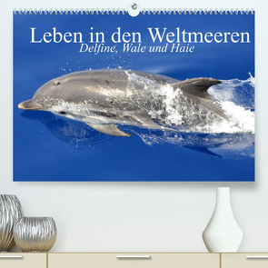 Leben in den Weltmeeren. Delfine, Wale und Haie (Premium, hochwertiger DIN A2 Wandkalender 2022, Kunstdruck in Hochglanz) von Stanzer,  Elisabeth