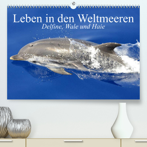 Leben in den Weltmeeren. Delfine, Wale und Haie (Premium, hochwertiger DIN A2 Wandkalender 2023, Kunstdruck in Hochglanz) von Stanzer,  Elisabeth