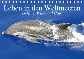 Leben in den Weltmeeren. Delfine, Wale und Haie (Tischkalender 2021 DIN A5 quer) von Stanzer,  Elisabeth