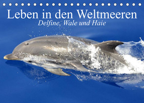 Leben in den Weltmeeren. Delfine, Wale und Haie (Tischkalender 2023 DIN A5 quer) von Stanzer,  Elisabeth