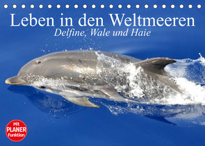 Leben in den Weltmeeren. Delfine, Wale und Haie (Tischkalender 2023 DIN A5 quer) von Stanzer,  Elisabeth
