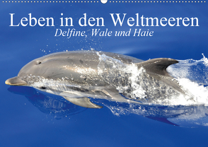 Leben in den Weltmeeren. Delfine, Wale und Haie (Wandkalender 2021 DIN A2 quer) von Stanzer,  Elisabeth