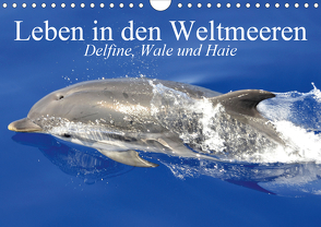 Leben in den Weltmeeren. Delfine, Wale und Haie (Wandkalender 2021 DIN A4 quer) von Stanzer,  Elisabeth