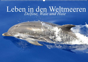 Leben in den Weltmeeren. Delfine, Wale und Haie (Wandkalender 2022 DIN A2 quer) von Stanzer,  Elisabeth