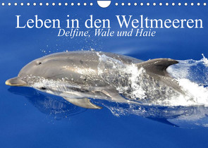 Leben in den Weltmeeren. Delfine, Wale und Haie (Wandkalender 2022 DIN A4 quer) von Stanzer,  Elisabeth
