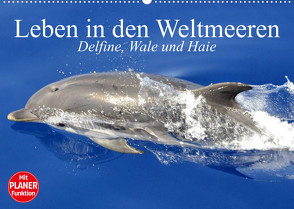 Leben in den Weltmeeren. Delfine, Wale und Haie (Wandkalender 2023 DIN A2 quer) von Stanzer,  Elisabeth