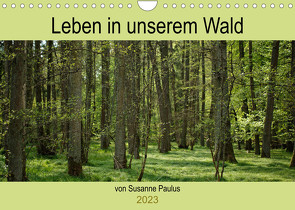 Leben in unserem Wald (Wandkalender 2023 DIN A4 quer) von Paulus,  Susanne